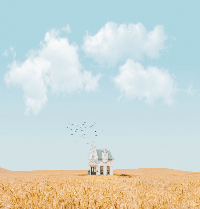 house-in-the-middle-of-crop-field-3330118